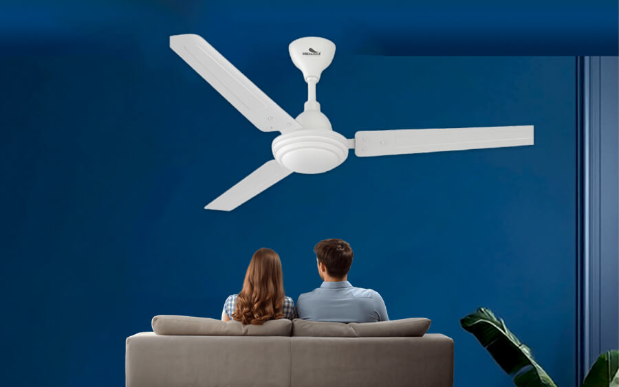 Ceiling Fans